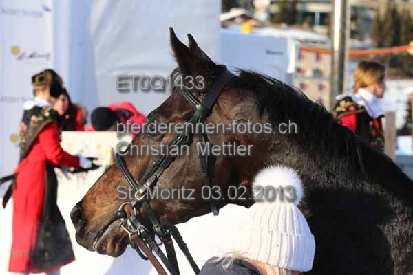 ET0Q1433 prot